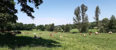 GAEC-Fabie-Colis-de-viande-8211-Prades-Salars_2244137