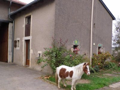 GITE-LA-HALTE-DE-L039HIRONDELLE_81336