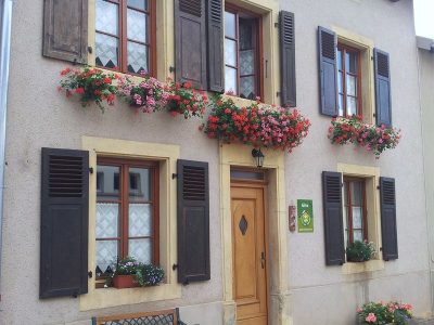 GITE-LES-ORCHIDEES_80459