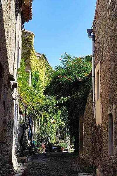 GITE-LES-VOLETS-VERTS-8211-Cesseras_2405414
