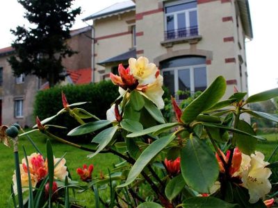 GITE-RURAL-LA-MAISON-DE-LUDO_81421