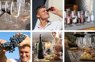 GRAPPES-ET-DEGUSTATION-L039ATELIER-VENDANGES-CHATEAU-BOISSET-8211-06-09-2025-8211-Valflaunes_3034388