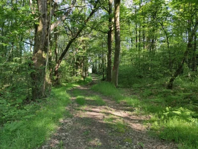 GRP®Monts-et-Barrages-en-Limousin-8211-Boucle-Entre-Combade-et-Briance-8211-Etape-3-8211-De-Saint-Meard-a-Chateauneuf-la-Foret-8211-Chateauneuf-la-Foret_2794789