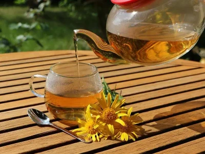 Gaia-Terre-Happy-Pause-Tisane-au-Beau-Jardin-8211-Truchtersheim_2862249