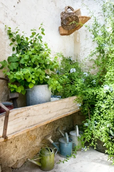 Galerie-d039exposition-et-jardin-d039agrement-au-domaine-de-Sengresse-8211-Souprosse_2632627