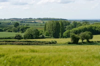 Geocaching-Terra-Aventura-quotCache-Cache-en-Bressuiraisquot-la-Micro-Z039Aventure-du-Bocage-8211-Bressuire_1325408