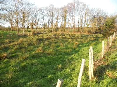 Geocaching-Terra-Aventura-quotLa-Corbeliere-des-z039ombresquot-chasse-au-tresor-a-Moulins_1133089