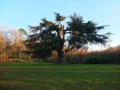 Geocaching-Terra-Aventura-quotMa-campagne-au-Canadaquot-chasse-au-tresor-a-Cerizay_1041517