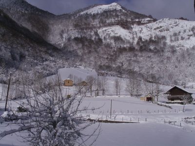 SAMSUNG DIGITAL CAMERA