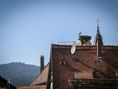 Gite-Guillaume-Le-Hameau-d039Eguisheim-Domaine-GINGLINGER-8211-Eguisheim_3498218