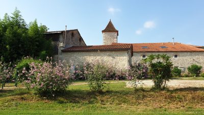 Gite-Kiwi_99049