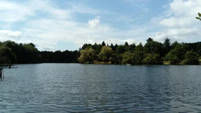 Gite-La-Lavande-8211-La-Roche-Chalais_2746901