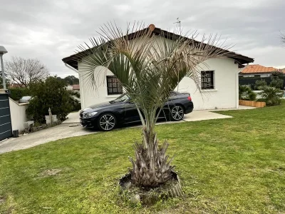 Gite-Le-Rabelais-8211-Gujan-Mestras_2787959