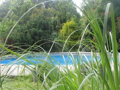 Gite-Le-Ruisseau-Chaud_122304