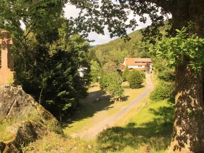 Gite-Notre-Dame-des-monts-8211-Ban-sur-Meurthe-Clefcy_2508635
