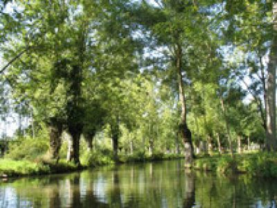 Gite-a-Coulon_103288