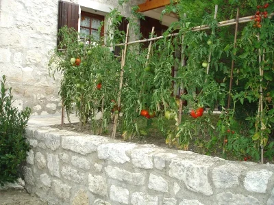 Gite-de-Pouchalou-8211-Tournon-d039Agenais_1630749
