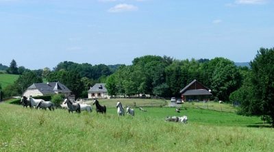 Gite-de-groupe-de-la-Ferme-Equestre-de-Mialaret_60288