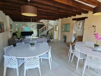 Gite-de-la-Mignonerie-8211-Chateau-de-Jallanges-8211-Vernou-sur-Brenne_2272336