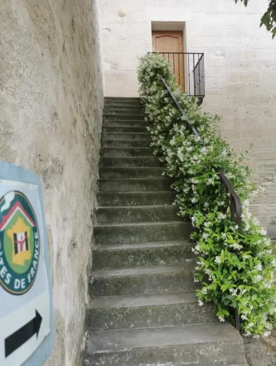 Gite-du-Grand-Mas-du-Roy-8211-Arles_3111420