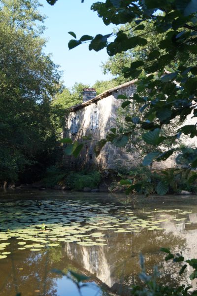 Gite-du-Moulin-Neuf_90894