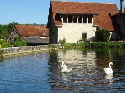 Gite-du-Moulin-de-Vasiliere-8211-Salles-Courbaties_2248856