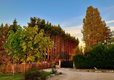 Gite-du-moulin-a-vent-Monpazier-8211-Capdrot_3617896