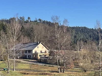 Gite-les-Sources-Folles-8211-Biffontaine_2516681