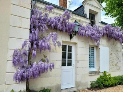 Gite-les-Tomettes-8211-Genille_2697260