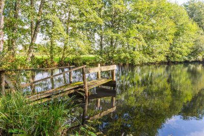 Gite-quotLa-Charmillequot_118201