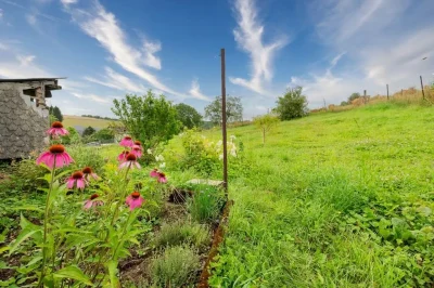 Gite-quotLe-24quot-8211-Thin-le-Moutier_1894751