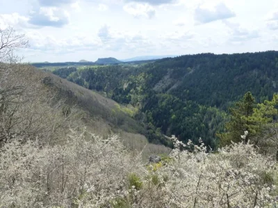 Gorges-du-Bramont-8211-Saint-Etienne-du-Valdonnez_3751433