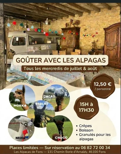 Gouter-avec-les-alpagas-8211-08-07-2026-8211-Fons_3750017