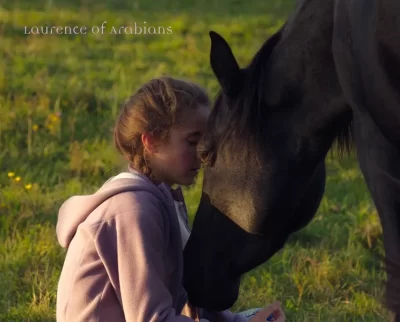 Gouter-grattouilles-au-milieu-des-Chevaux-Arabes_438100
