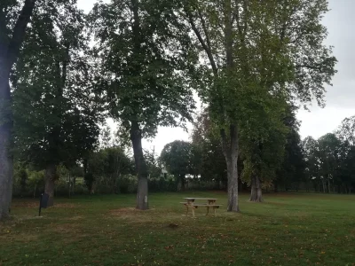 Grand-jeu-dans-l039arboretum-8211-31-07-2025-8211-Lisieux_2182888