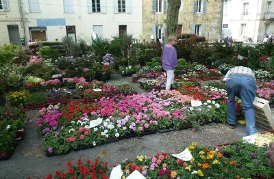 Grand-marche-aux-fleurs-8211-01-05-2026-8211-Lalinde_3480463