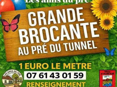 Grande-brocante-8211-14-06-2026-8211-Auboue_3596990