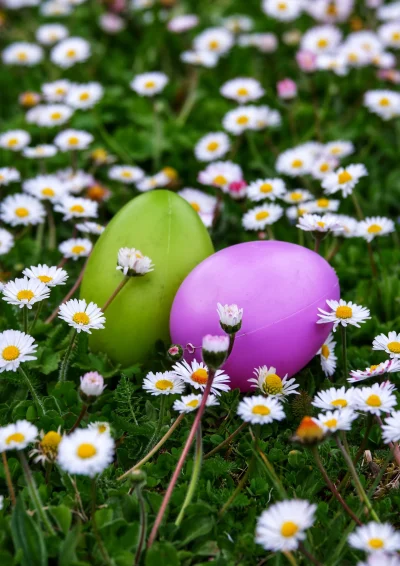 Grande-chasse-aux-oeufs-de-Paques-au-Domaine-de-Poulaines-8211-05-04-2026-8211-Poulaines_3340369