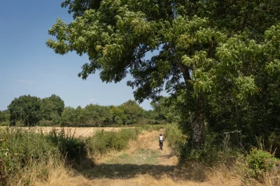 Gravel-non-jalonne-8211-Du-bord-de-Creuse-aux-etangs-en-passant-par-le-chateau-d039Azay-le-Ferron-8211-Rosnay_3751427