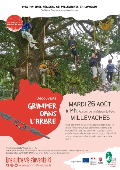 Grimpe-a-l039arbre-8211-26-08-2025-8211-Millevaches_2769511