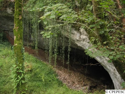 Grotte-de-la-Baume-Noire-8211-Fretigney-et-Velloreille_1588453