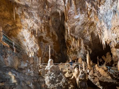 Grotte-prehistorique-de-Foissac-8211-Foissac_2235593