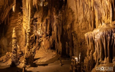 Grottes-Prehistoriques-d039Isturitz-et-d039Oxocelhaya-8211-Saint-Martin-d039Arberoue_2793147