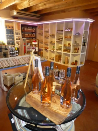 Guided-visit-of-the-vineyards-of-Terre-de-Mistral-followed-by-a-tasting-session_639121