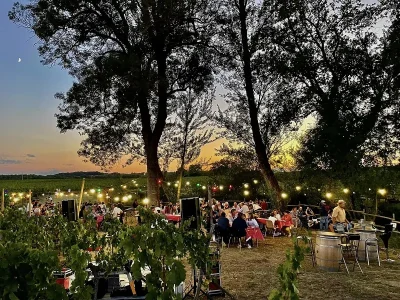 Guinguette-La-Cabane-du-vigneron-des-Vignobles-Turtaut-8211-07-08-2026-8211-Saint-Sulpice-de-Pommiers_3787877