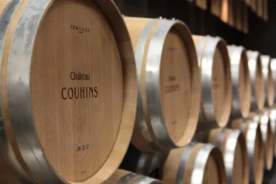 Guinguette-au-Chateau-Couhins-8211-26-09-2025-8211-Villenave-d039Ornon_3015104
