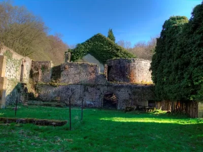 HAUTS-FOURNEAUX-DU-LONGUYONNAIS-8211-BURE-D039ORVAL_316876