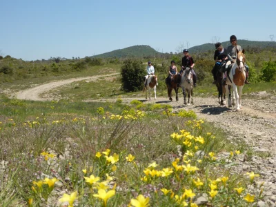 HORSE-amp-BOTANIC-PICK-HORSE-AVENTURE-8211-Saint-Bauzille-de-Montmel_2110929
