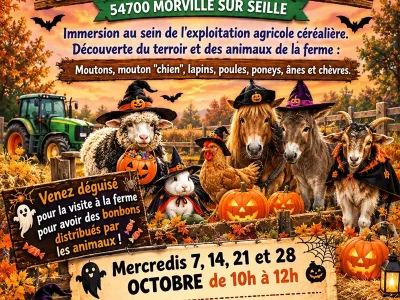 Halloween-a-la-Ferme-8211-Morville-sur-Seille_3848381