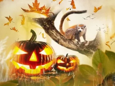 Halloween-a-la-Haute-Touche-8211-31-10-2026-8211-Obterre_3767373